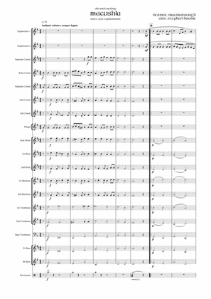 Macushla - Duet for Euphoniums