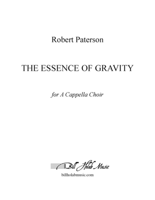 The Essence of Gravity