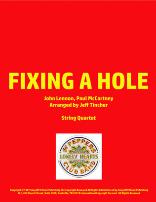 Book cover for Fixing A Hole