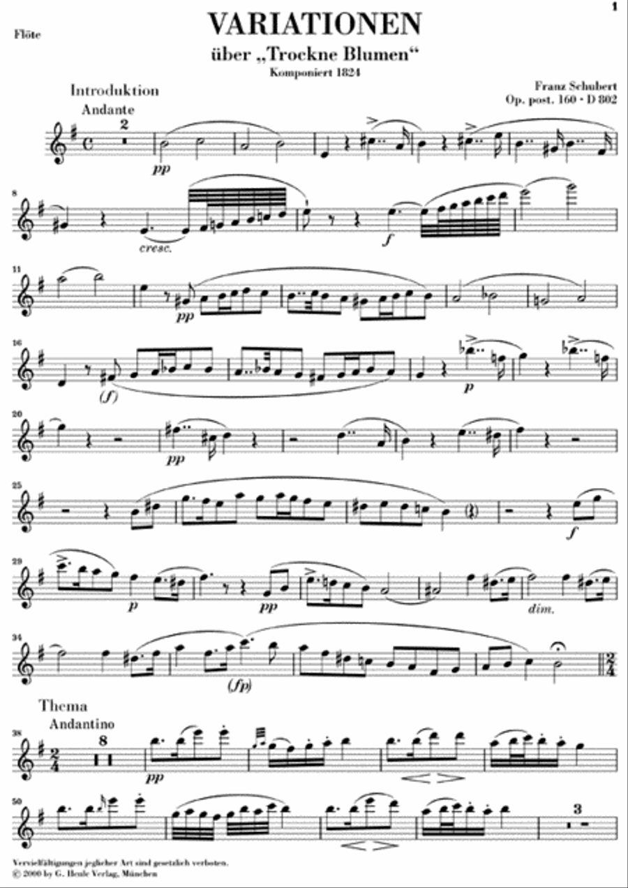 Variations on “Trockne Blumen” in E minor, Op. Posth. 160, D 802 Flute Solo scores gallery preview page 2