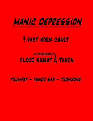 Book cover for Manic Depression