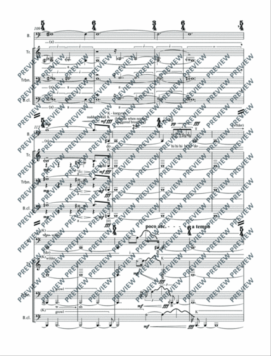 Irrational Irrational Clarinet scores gallery preview page 20