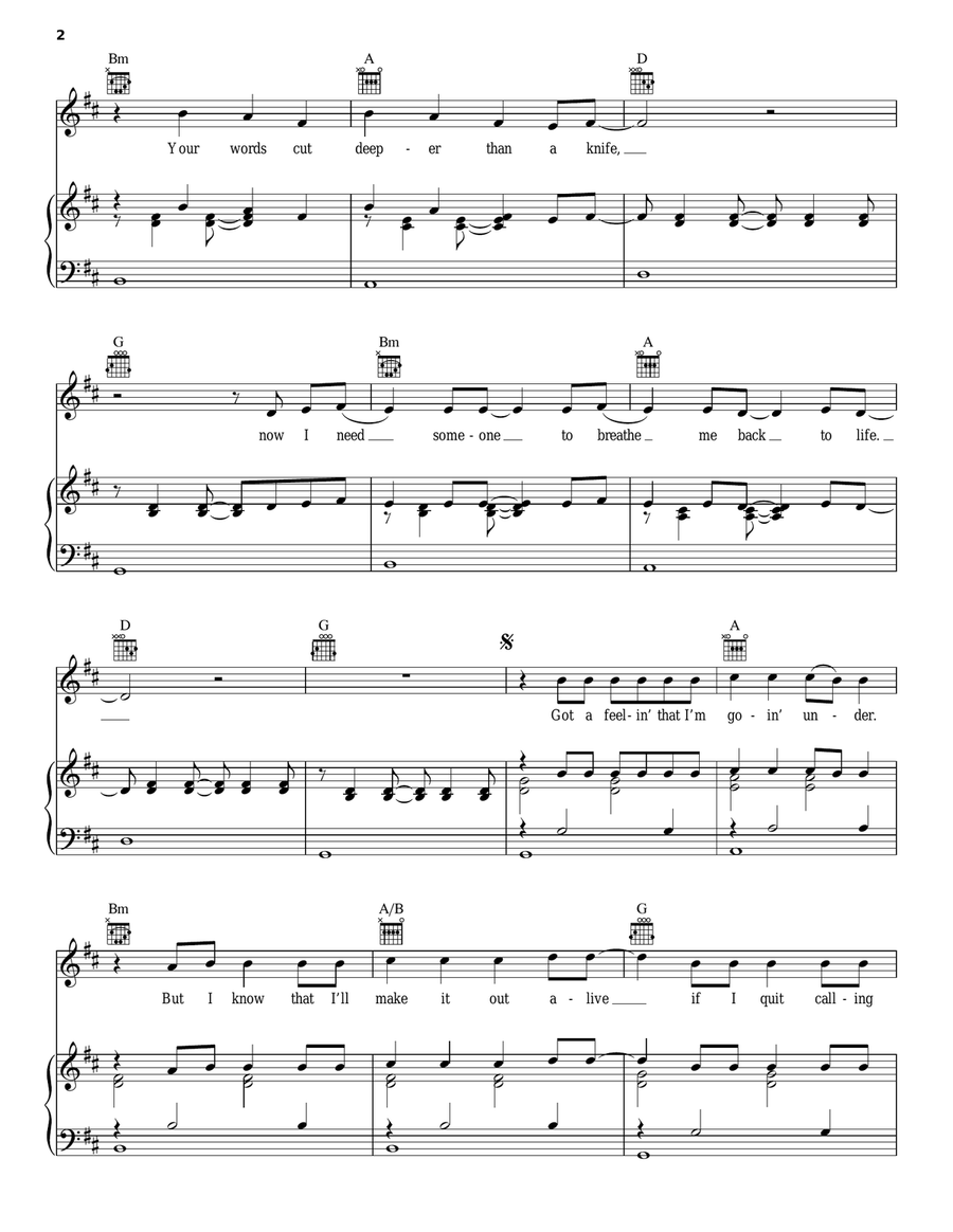 Stitches Piano, Vocal, Guitar scores gallery preview page 2