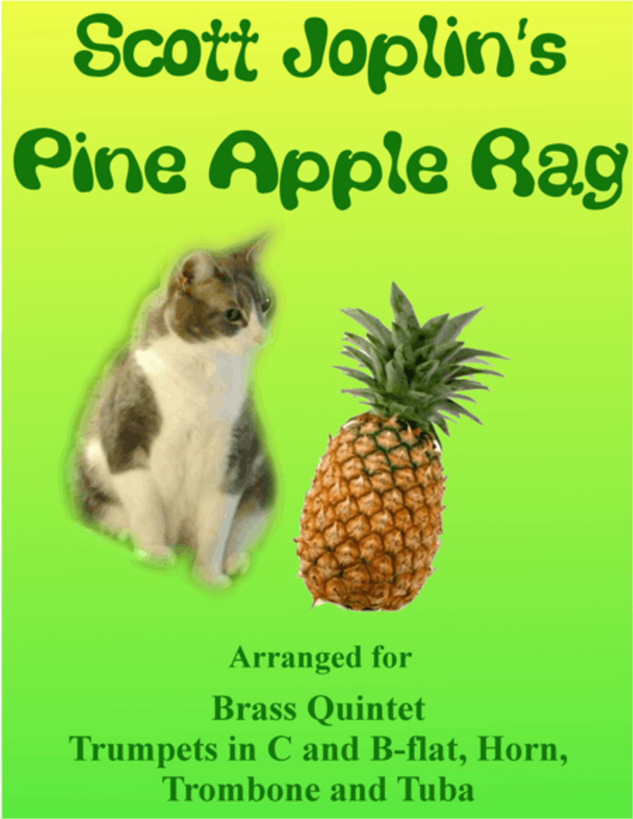 Scott Joplin: Pine Apple Rag for Brass Quintet Brass Quintet scores gallery preview page 1