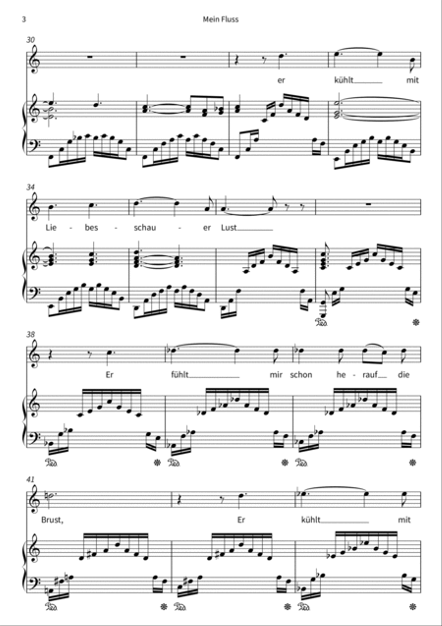 Mein Fluss Voice Solo scores gallery preview page 5