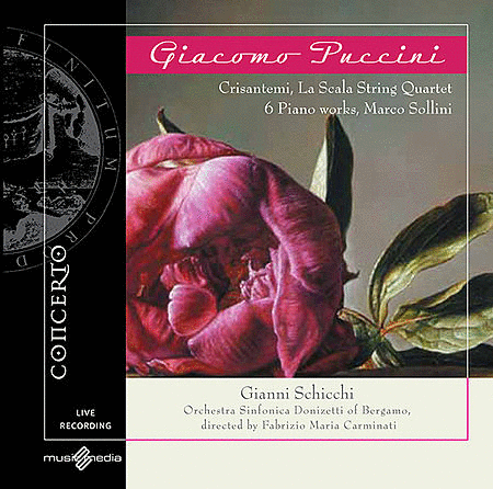 Gianni Schicchi Crisantemi 6