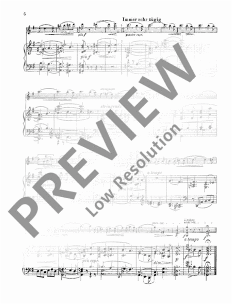 Heimat Violin Solo scores gallery preview page 7