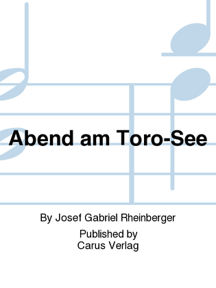Book cover for Abend am Toro-See