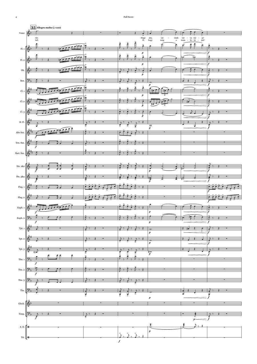Szép vagy, gyönyörű vagy Magyarország Szép vagy, gyönyörű vagy Magyarország Concert Band scores gallery preview page 6
