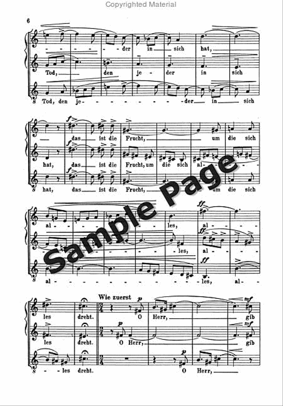 Lieder F Singkreise Op. 43/2 Mixed Choir scores gallery preview page 7