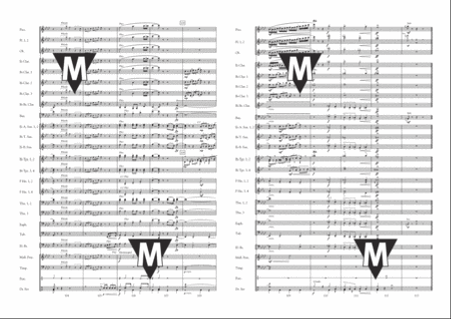 Always Look on The Bright Side of Life Concert Band scores gallery preview page 12