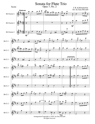 Flute Sonata, Opus 7 No. 2