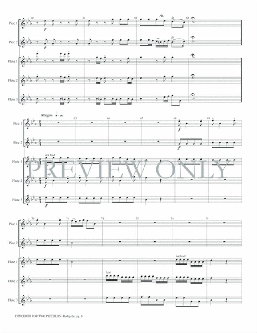 Concerto for Two Piccolos Op. 6 Small Ensemble scores gallery preview page 8
