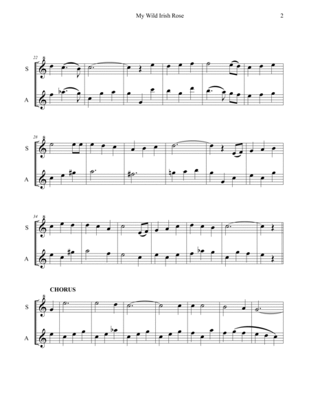 Four Irish - American Songs for Duets of S, A, and T Recorders image number null