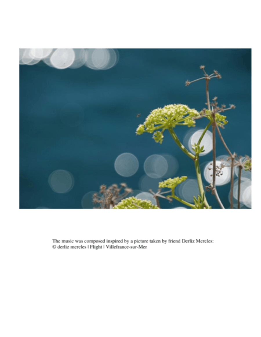 Volatile Piano Solo scores gallery preview page 2