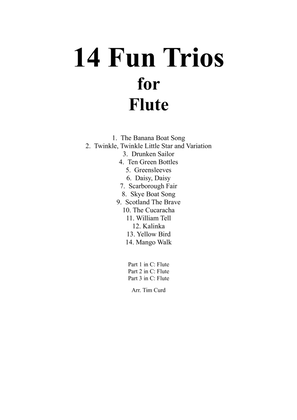 Book cover for 14 Fun Trios For Flute