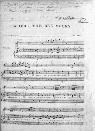 Where The Bee Sucks