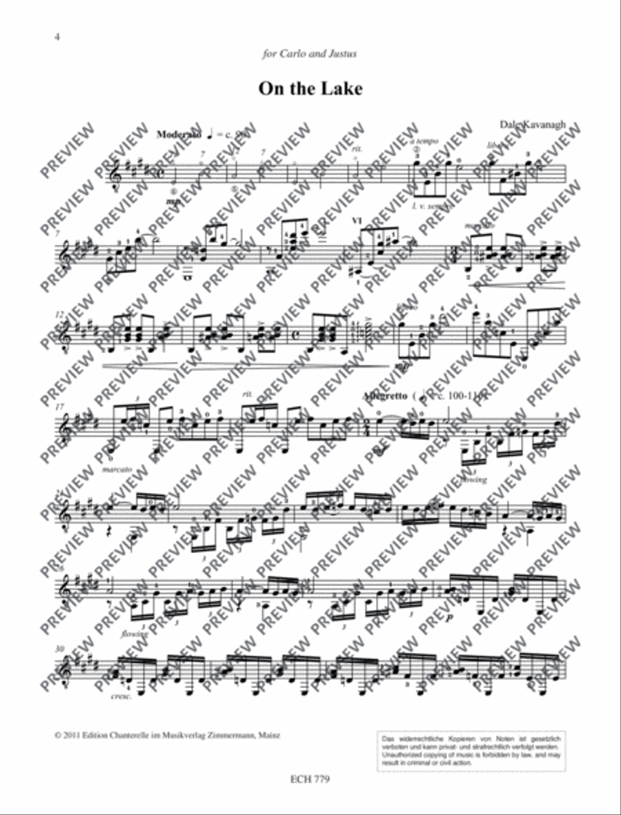 Tales of Greiffenberg Guitar scores gallery preview page 5