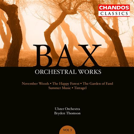 Orchestra Works; Vol. 3: November Wood
