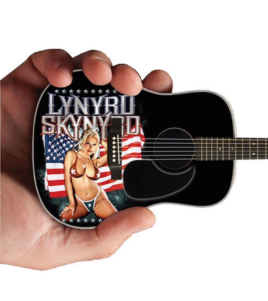 Lynyrd Skynyrd - Acoustic Guitar