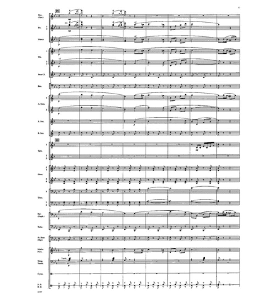 Zacatecas Zacatecas Concert Band scores gallery preview page 14