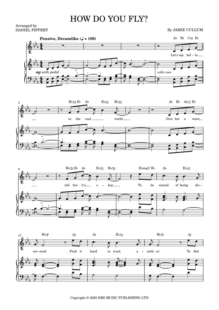 How Do You Fly? Piano, Vocal, Guitar scores gallery preview page 1