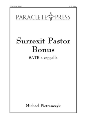 Book cover for Surrexit Pastor Bonus