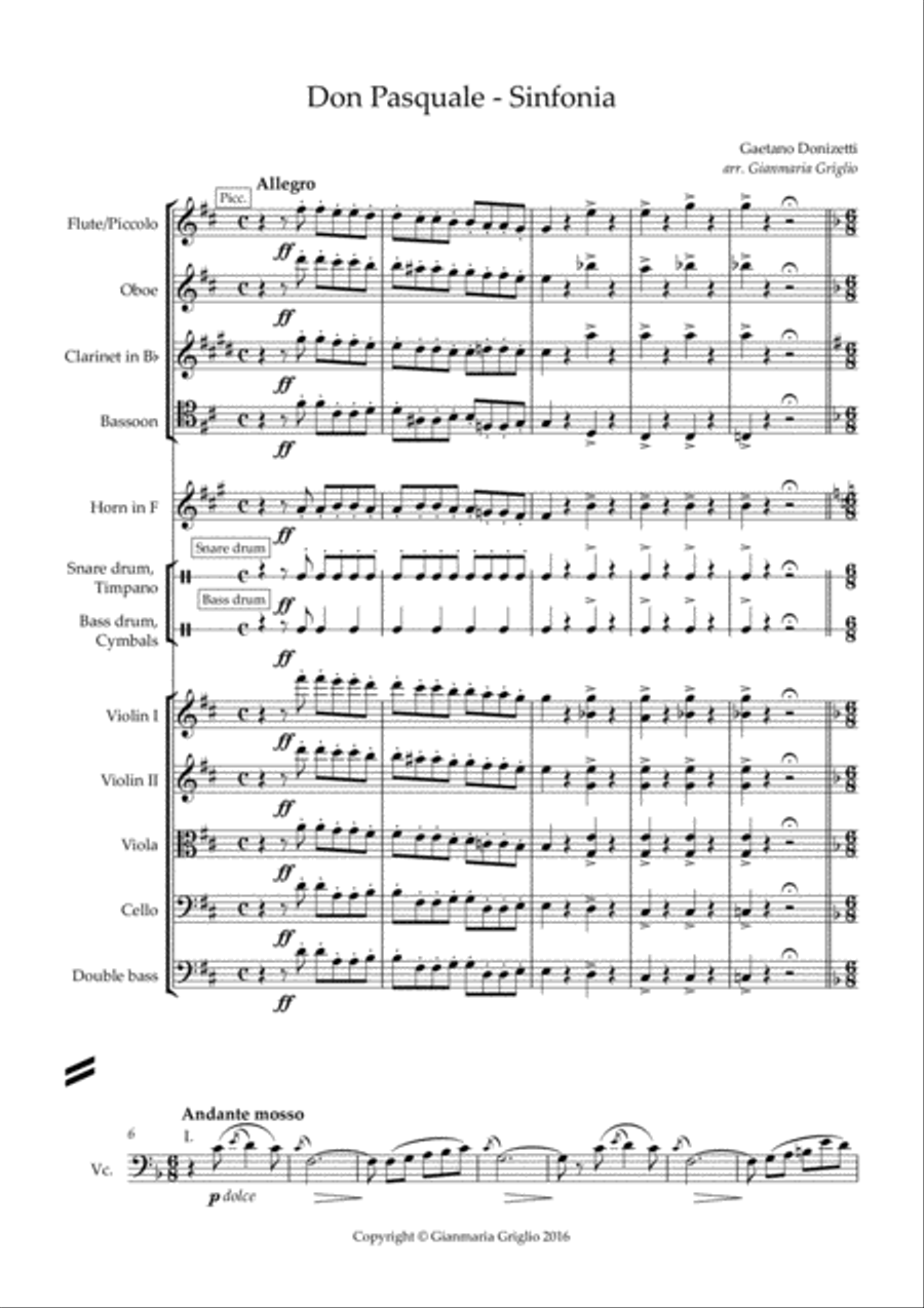 Don Pasquale - Sinfonia - arr. chamber orchestra Chamber Orchestra scores gallery preview page 1