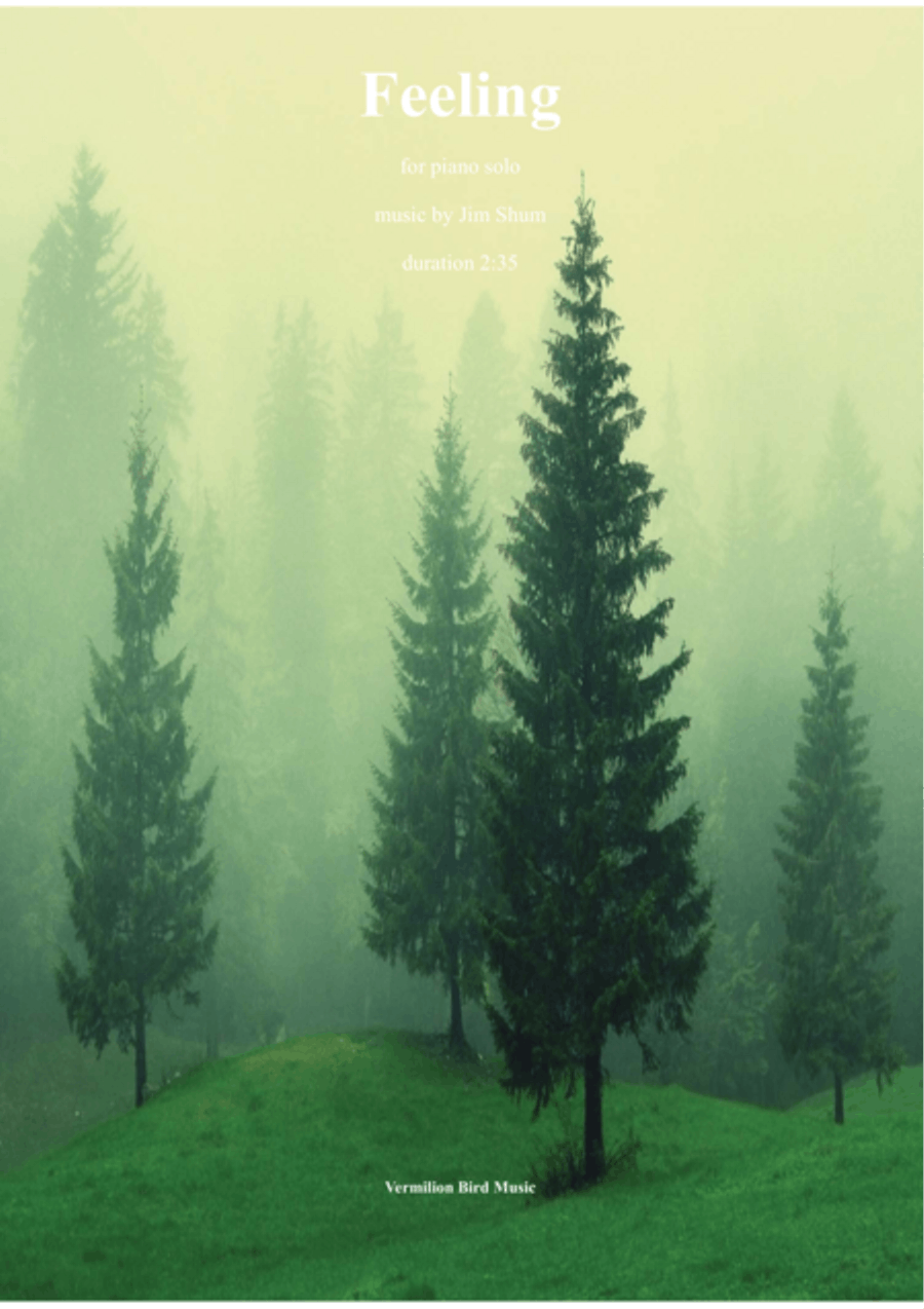 Feeling Piano Solo scores gallery preview page 1