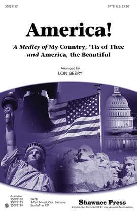 Book cover for America!