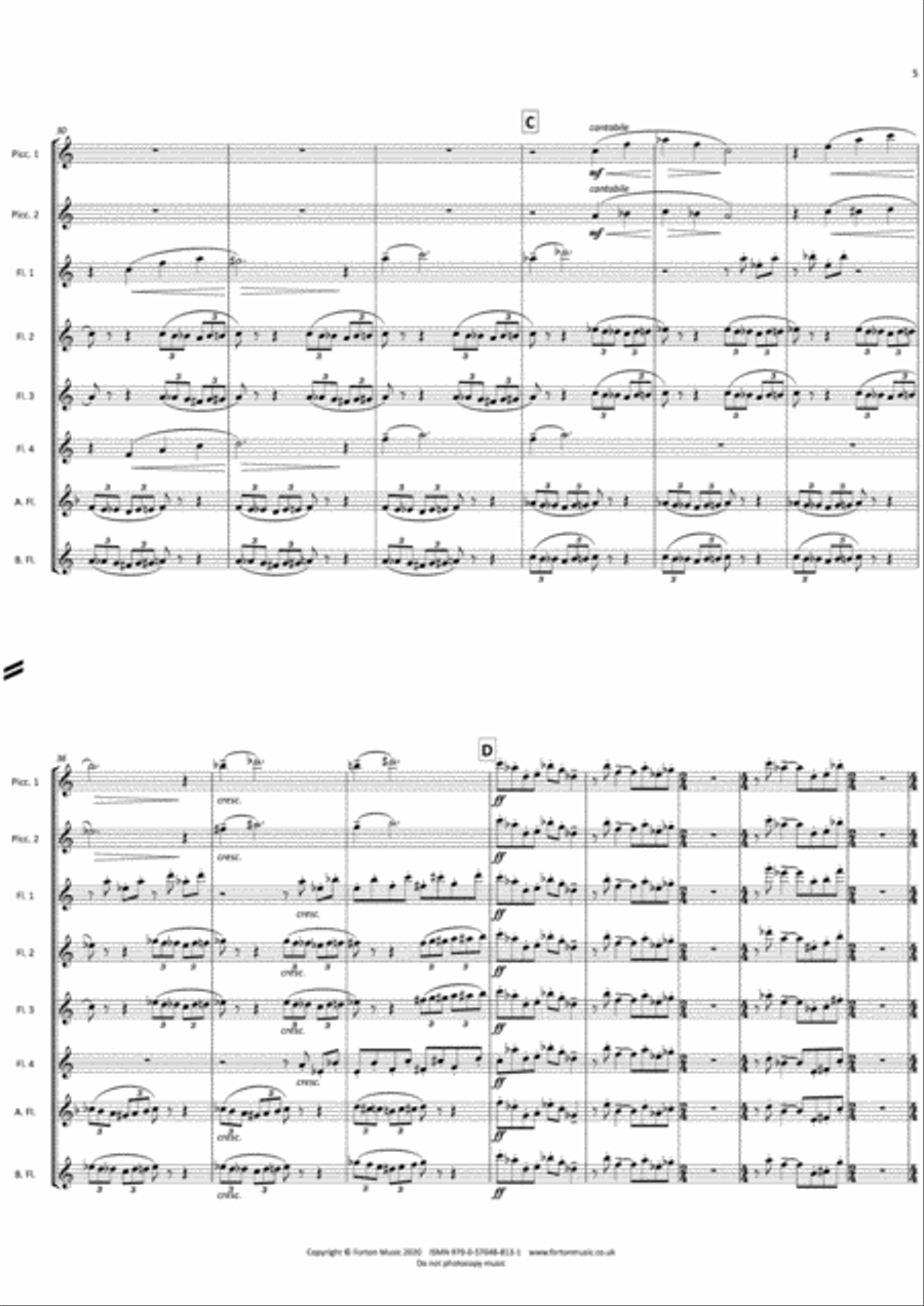 The Planets Re-Imagined The Planets Re-Imagined Flute scores gallery preview page 5