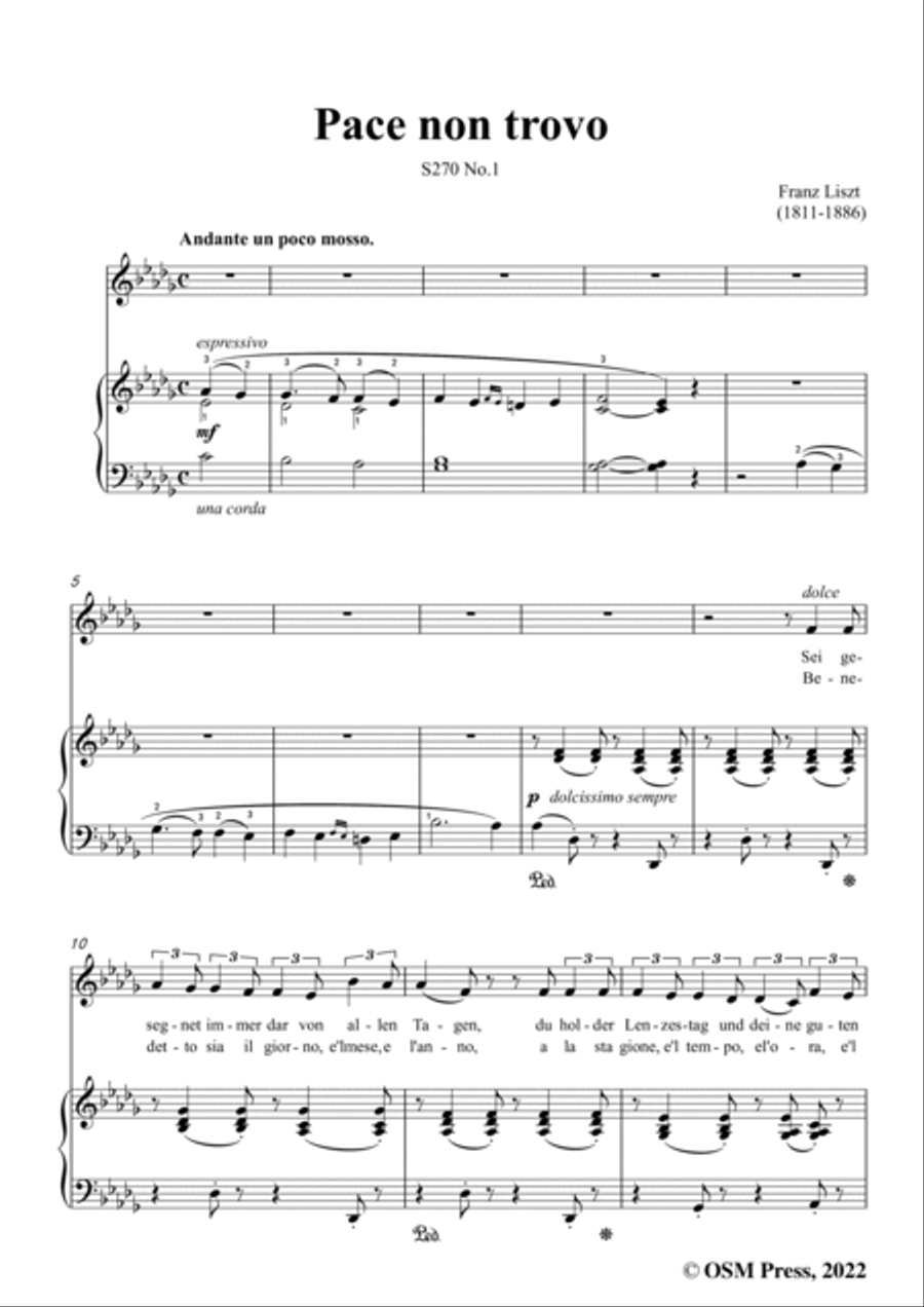 Liszt-Pace non trovo,S270 No.1,from 3 Sonetti del Petrarca Voice scores gallery preview page 3