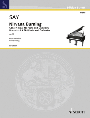Book cover for Nirvana Burning