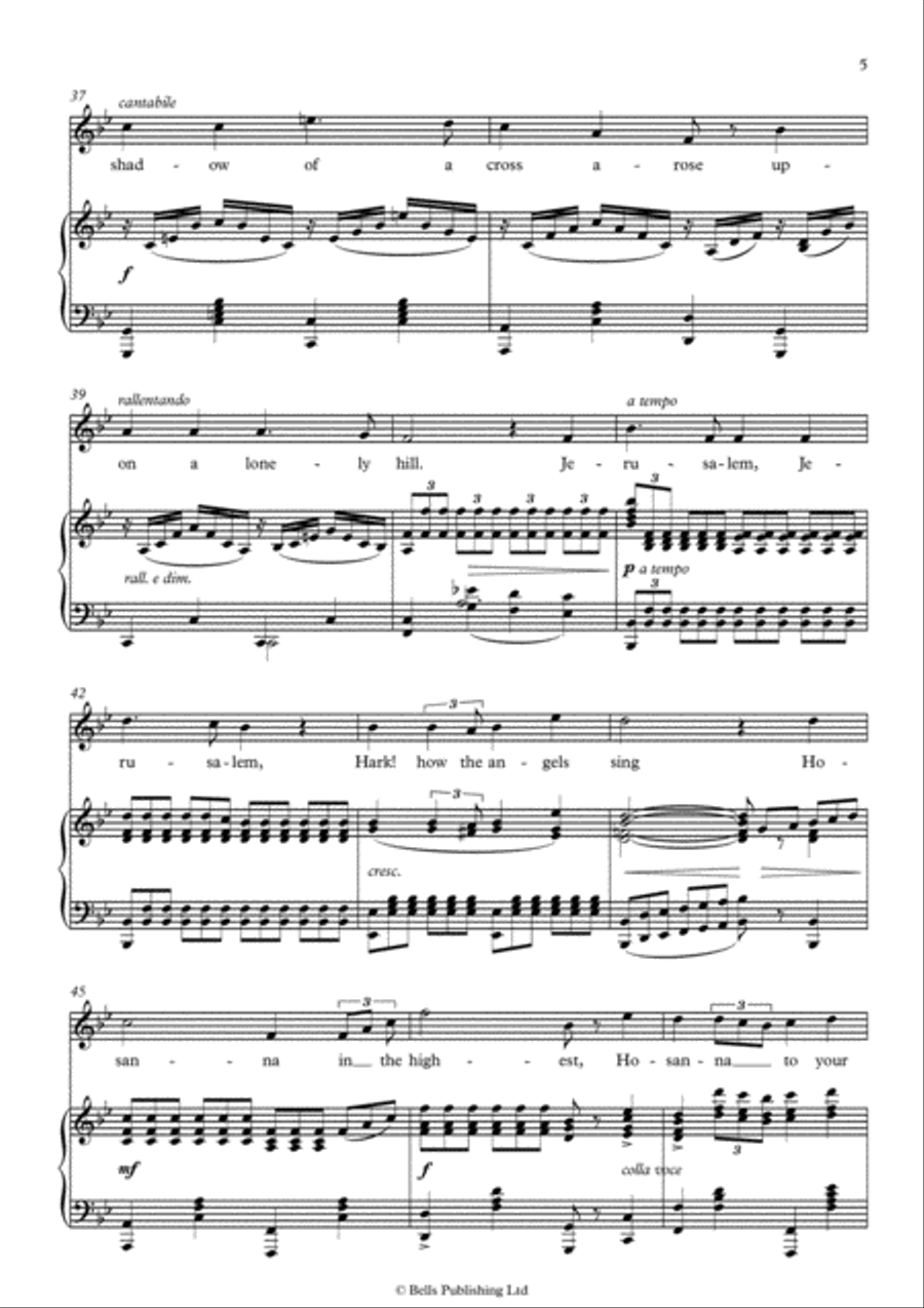 The Holy City (Original key. B-flat Major) Voice Solo scores gallery preview page 5
