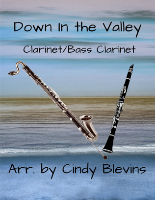 Book cover for Down In the Valley, Bb Clarinet and Bb Bass Clarinet Duet