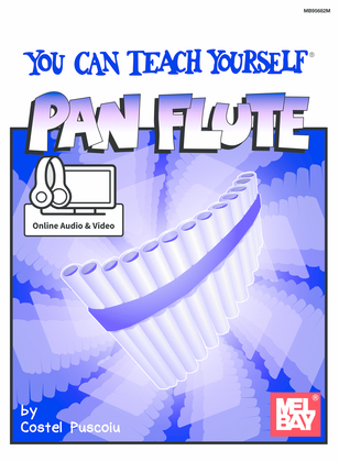 Book cover for You Can Teach Yourself Pan Flute