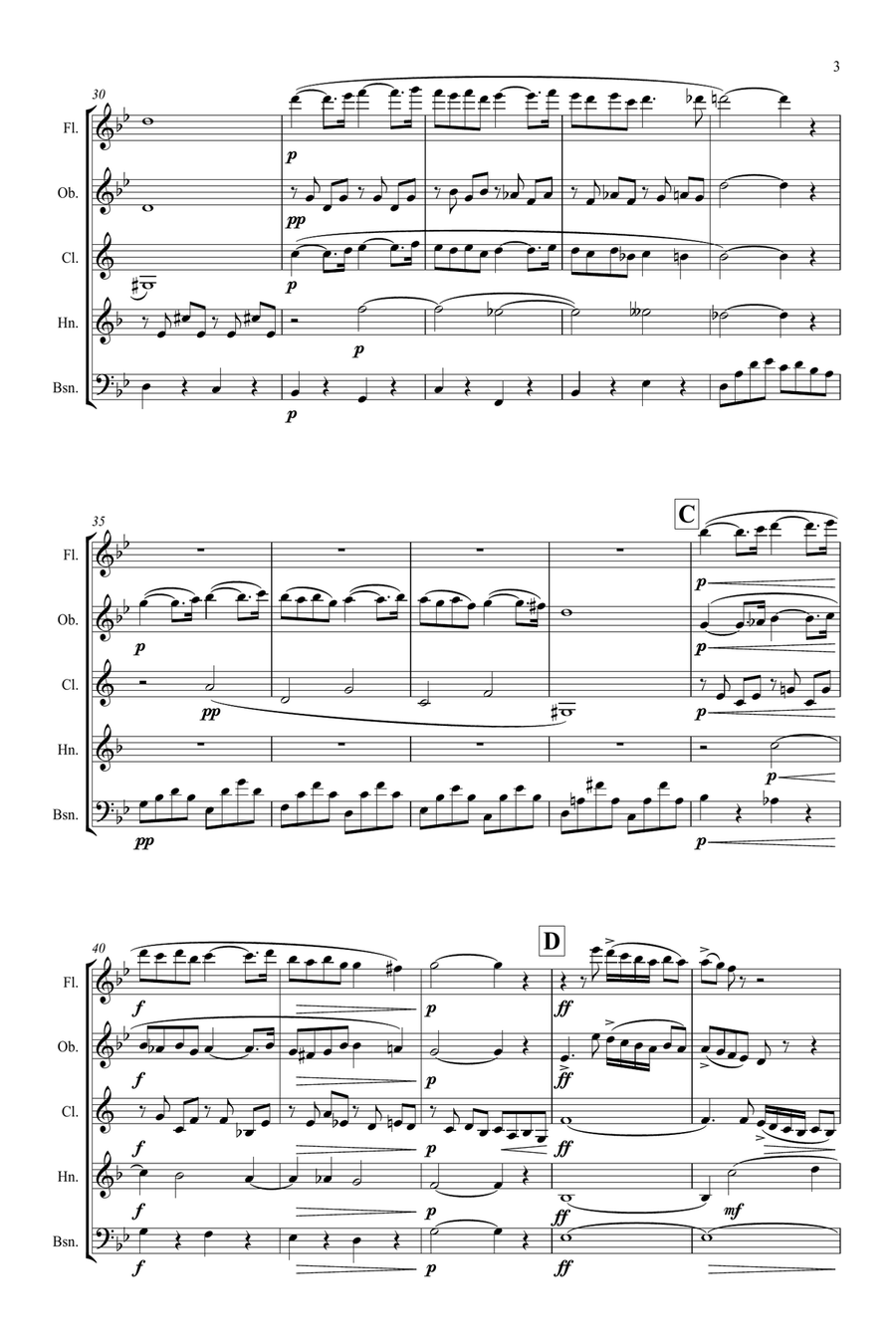 Fauré: Pavane Op.50 (transposed into G minor) - wind quintet Woodwind Quintet scores gallery preview page 3