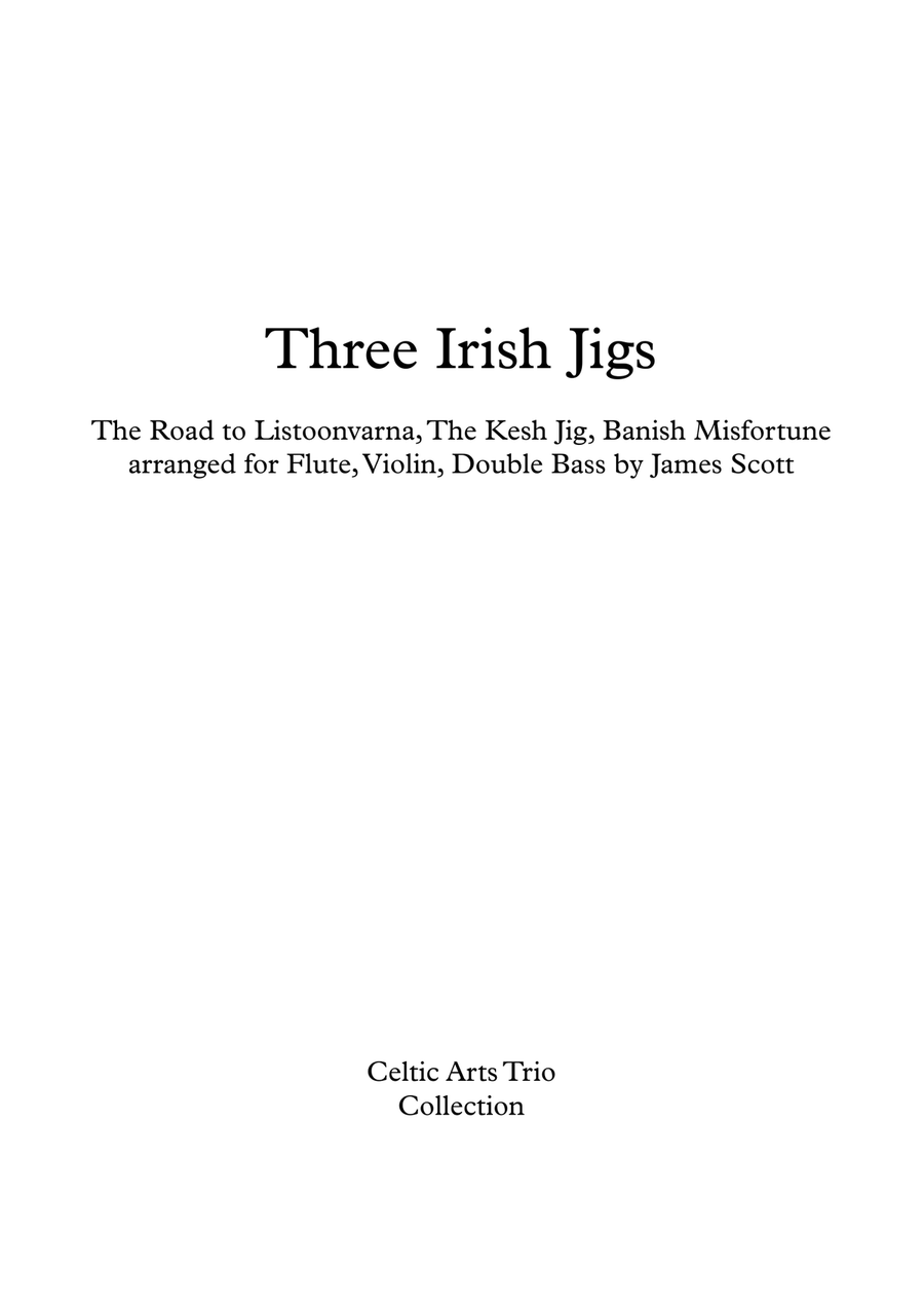 Three Irish Jigs arranged for Flute, Violin, Double Bass by James Scott. Small Ensemble scores gallery preview page 1
