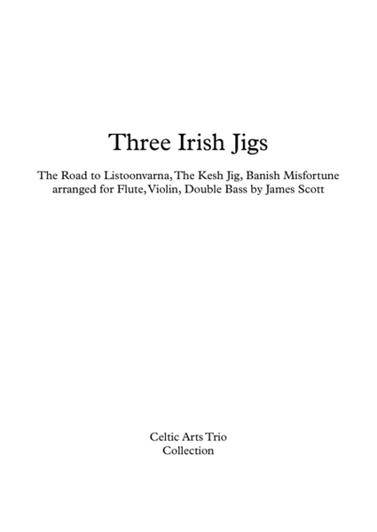 Three Irish Jigs arranged for Flute, Violin, Double Bass by James Scott. image number null