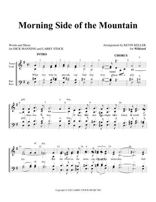 Book cover for Morning Side Of The Mountain