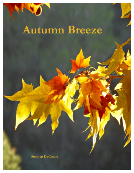 Autumn Breeze image number null