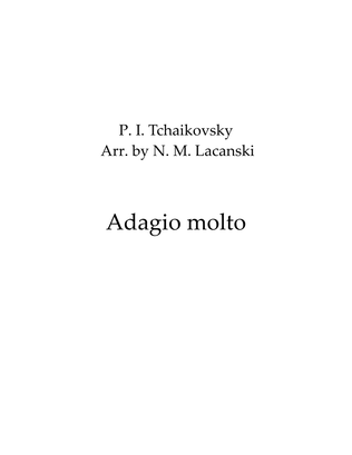 Book cover for Adagio molto