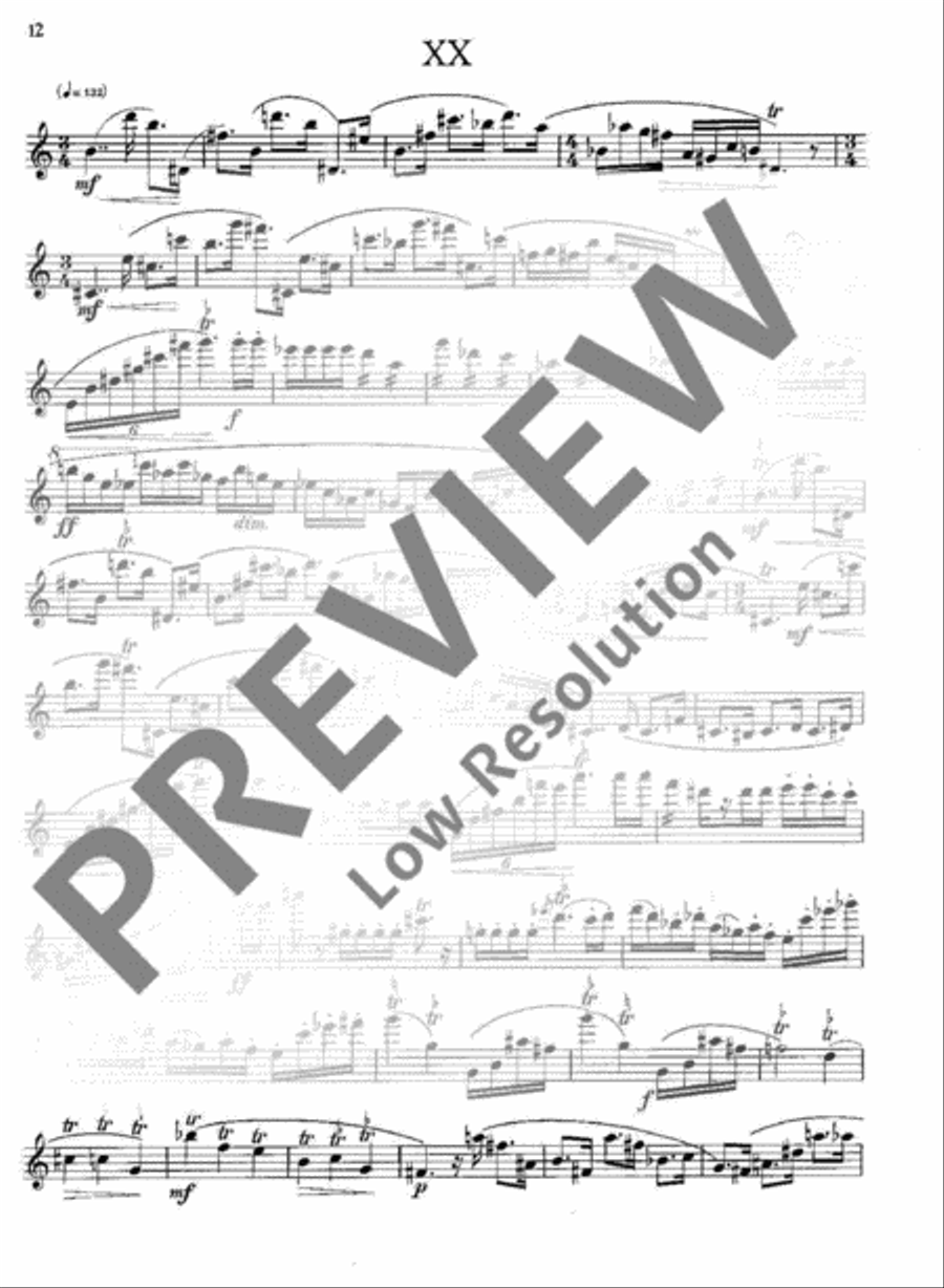 Modern Studies Flute Solo scores gallery preview page 13
