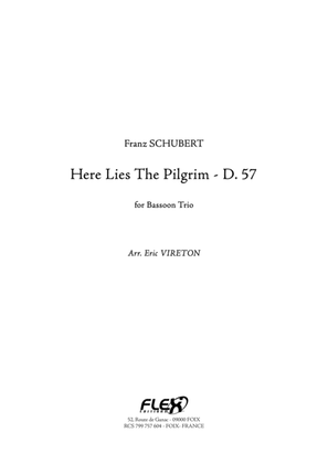 Here Lies The Pilgrim, D. 57