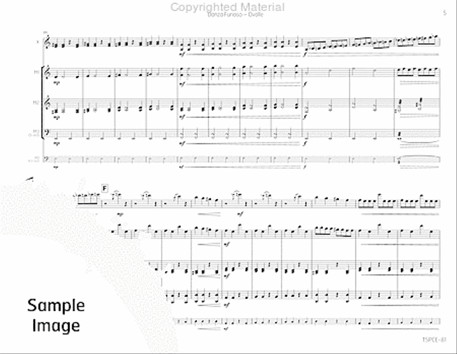 Danza Furioso Percussion Ensemble scores gallery preview page 8