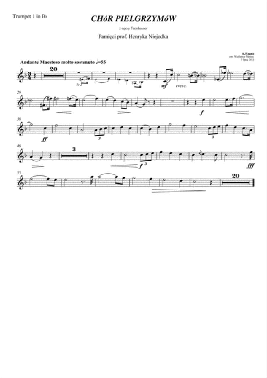 Richard Wagner - Pilgrim's Choir from Tannhauser - for Brass Choir (4 Tr, 2 Cr, 3 Trbn, 2 Tb) TB scores gallery preview page 1