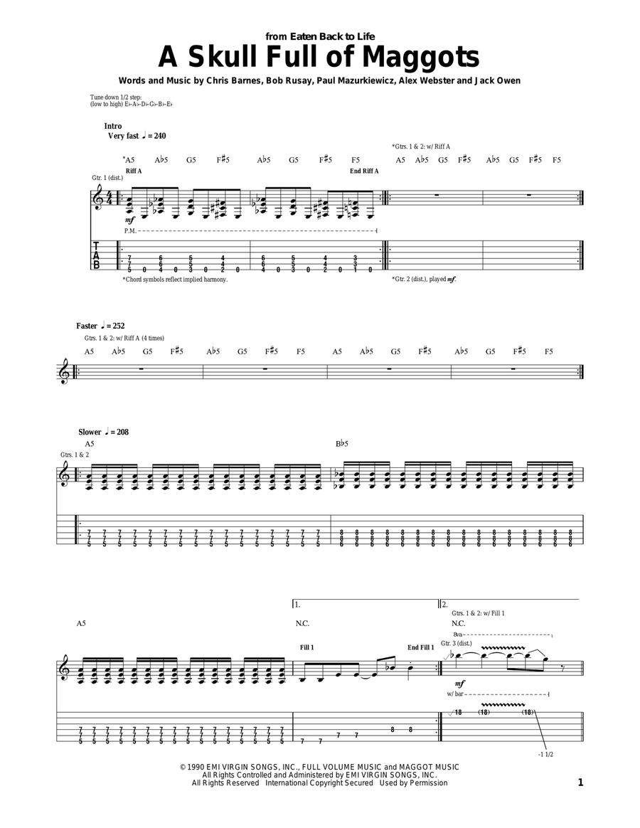A Skull Full Of Maggots Acoustic Guitar scores gallery preview page 1