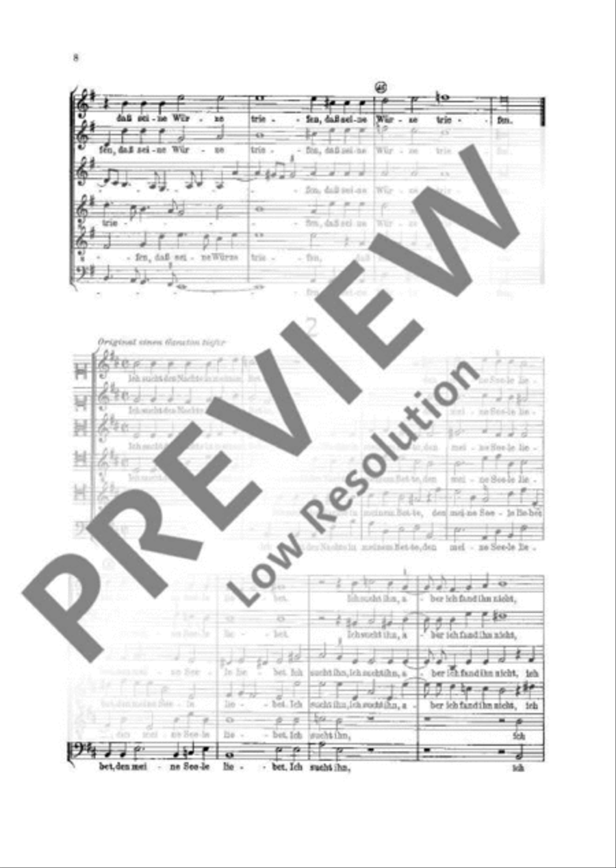Five Song of Salomon motets Mixed Choir scores gallery preview page 9