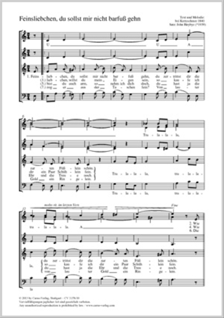 Feinsliebchen, du sollst mir nicht barfuss gehen SSATB scores gallery preview page 1