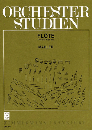 Book cover for Orchestra Studies for Flute